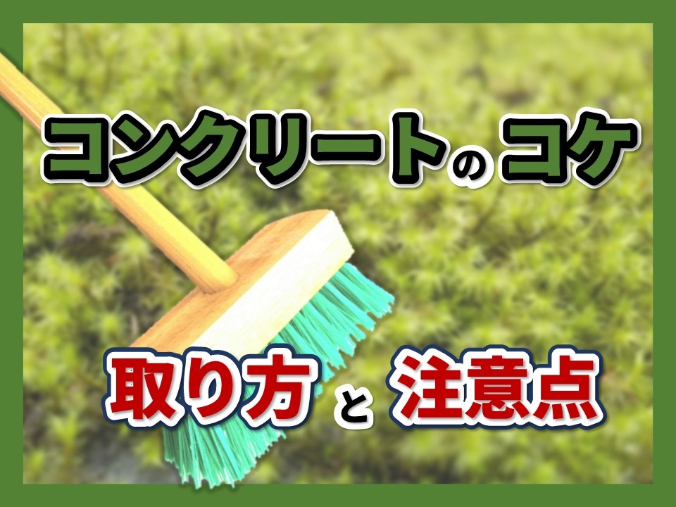コンクリートにコケが生える原因は 効果的な取り方や注意点を徹底解説 左官建材マガジン By ヤブ原産業